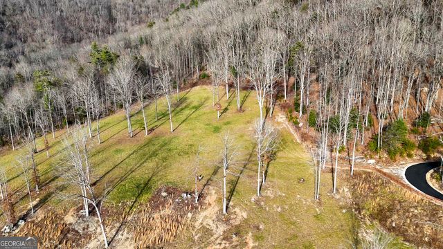 0 David Drive, Tiger, GA 30576