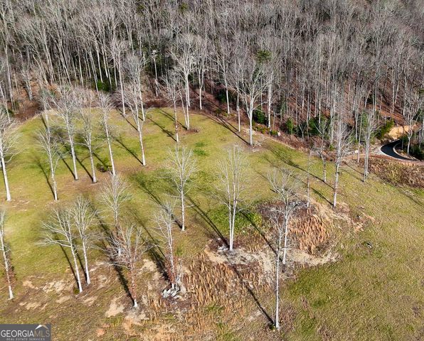 0 David Drive, Tiger, GA 30576