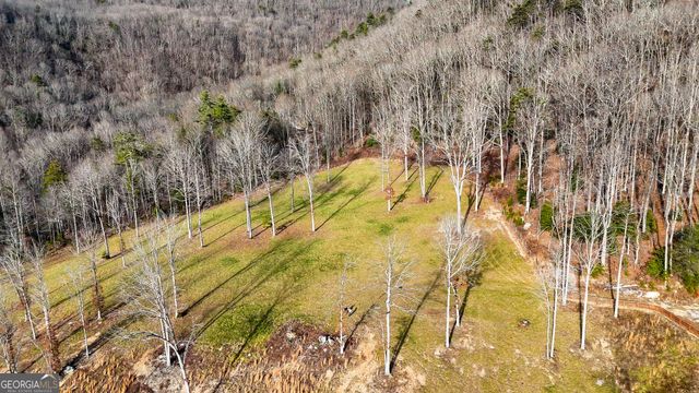 0 David Drive, Tiger, GA 30576
