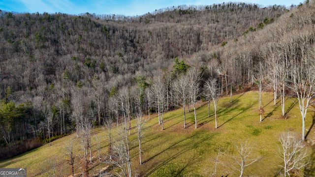 0 David Drive, Tiger, GA 30576