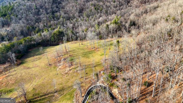 0 David Drive, Tiger, GA 30576