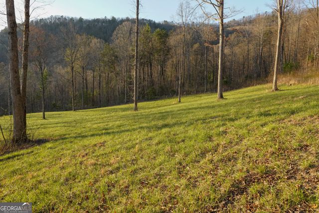 0 David Drive, Tiger, GA 30576