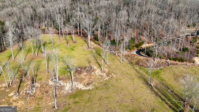 0 David Drive, Tiger, GA 30576