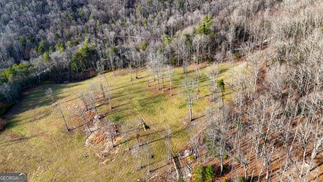 0 David Drive, Tiger, GA 30576