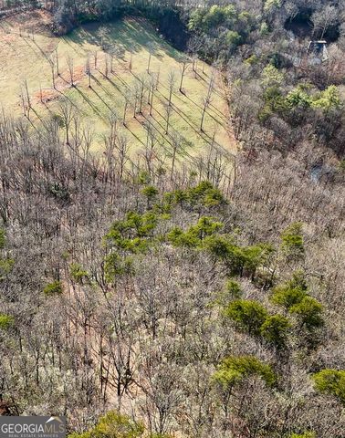 0 David Drive, Tiger, GA 30576