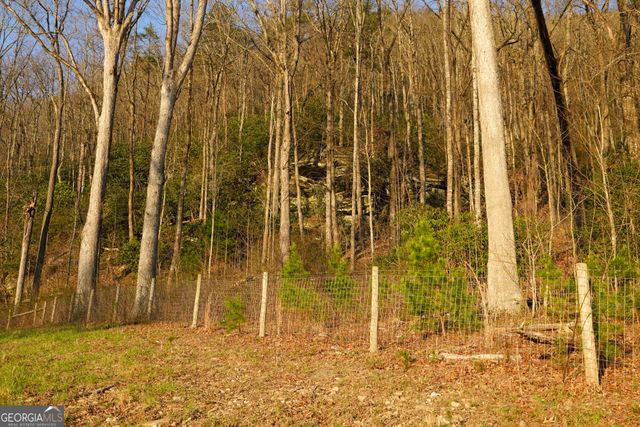 0 David Drive, Tiger, GA 30576