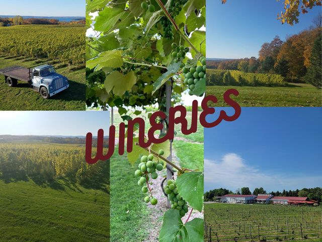 9224 E Duck Lake Road, Suttons Bay Twp, MI 49682