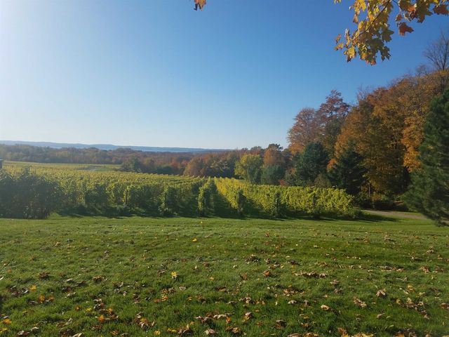 9224 E Duck Lake Road, Suttons Bay Twp, MI 49682