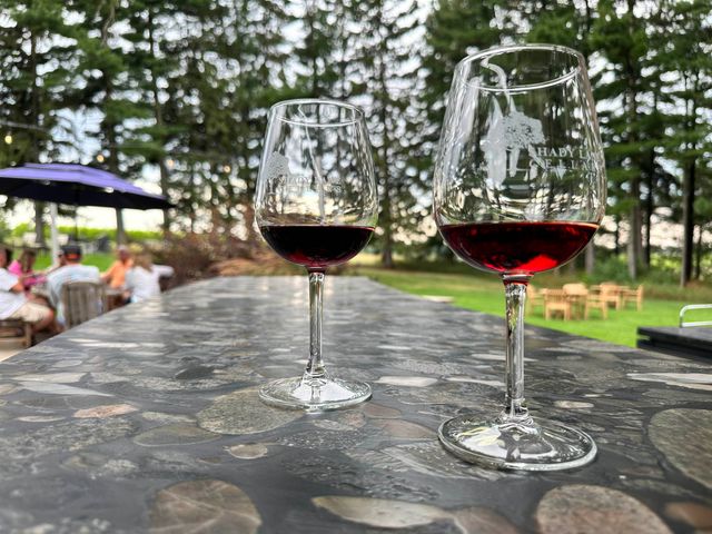 9224 E Duck Lake Road, Suttons Bay Twp, MI 49682