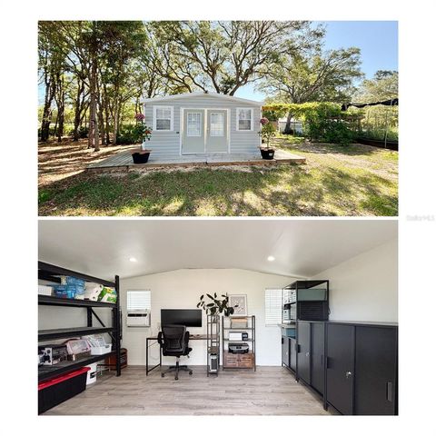 6254 W PEKING COURT, Dunnellon, FL 34433