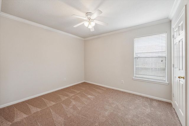 6114 Fox Wind Court, Houston, TX 77041