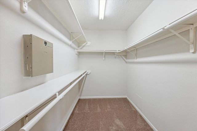 6114 Fox Wind Court, Houston, TX 77041