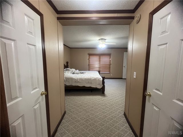 11316 Covered Bridge Rd, Brookwood, AL 35444