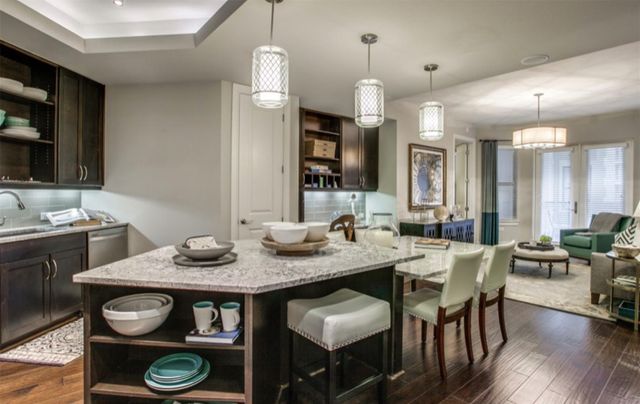 2303 Mid Lane 717, Houston, TX 77027