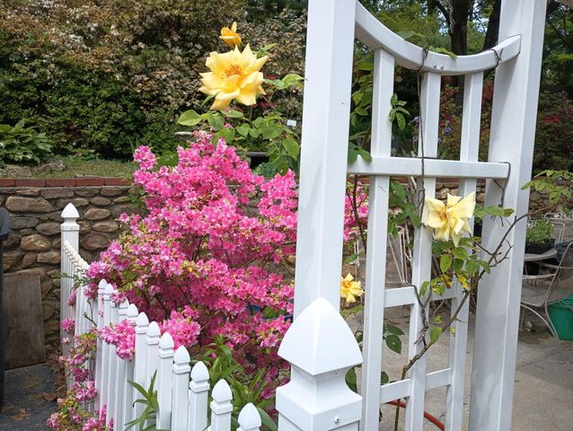 4566 Oakland BLVD, Roanoke, VA 24012