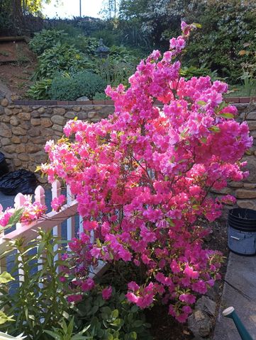 4566 Oakland BLVD, Roanoke, VA 24012