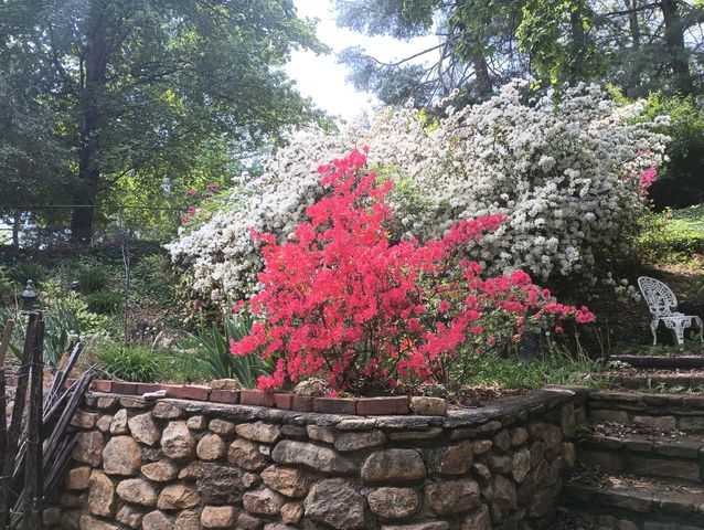 4566 Oakland BLVD, Roanoke, VA 24012