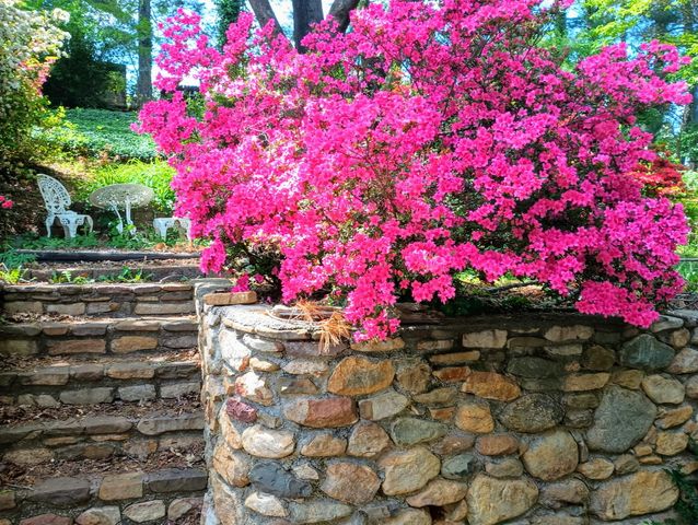 4566 Oakland BLVD, Roanoke, VA 24012