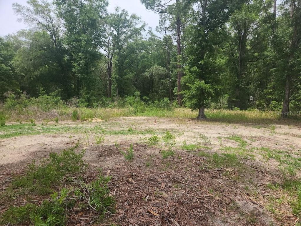 Lot 10 SW 134 TERRACE, Ocala, FL 34481