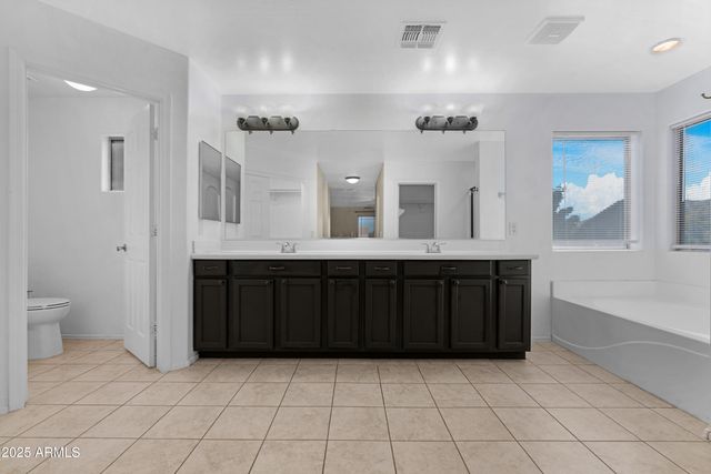 43317 W WALLNER Drive, Maricopa, AZ 85138