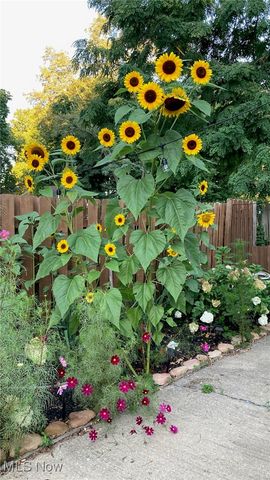 88 W Washington Street, Painesville, OH 44077