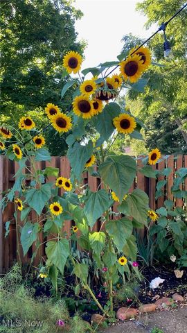 88 W Washington Street, Painesville, OH 44077