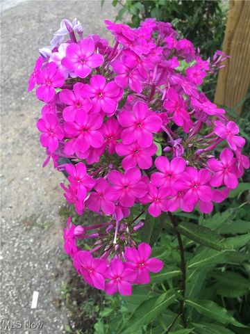 88 W Washington Street, Painesville, OH 44077