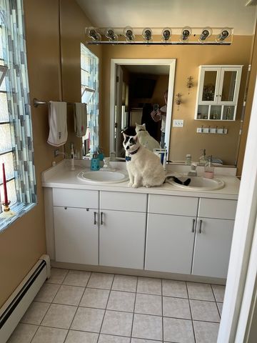 1018 E Oak Avenue, La Grange Park, IL 60526