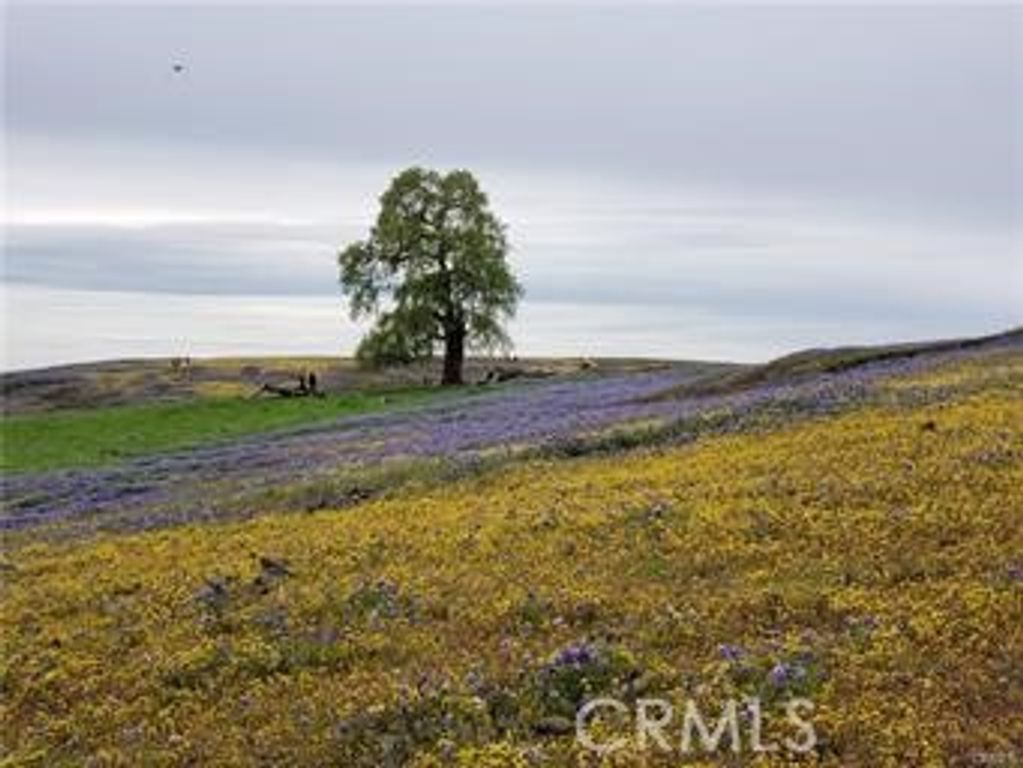 Image 11 of property listing at 2920 Clark k-17, Butte Valley, CA 95965