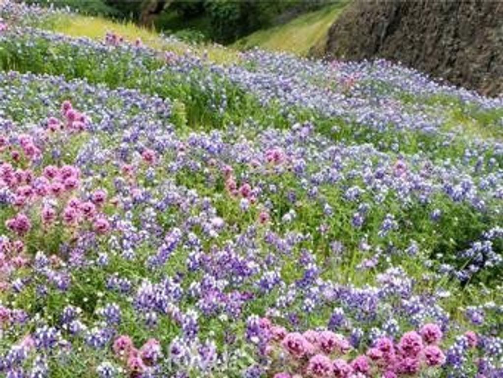 Image 14 of property listing at 2920 Clark k-17, Butte Valley, CA 95965