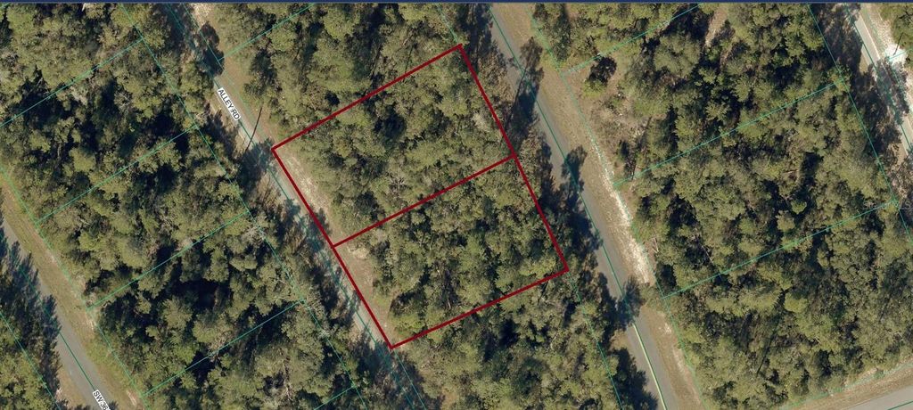8002-0009-06 & 07 ALLEY ROAD, Ocala, FL 34473