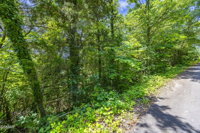 407 Jack Potts Drive, Dandridge, TN 37725