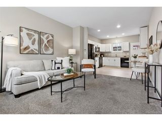 6065 Wadsworth Blvd B, Arvada, CO 80003
