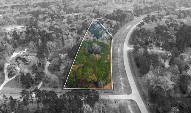 235 Lake Commons Court, Huffman, TX 77336