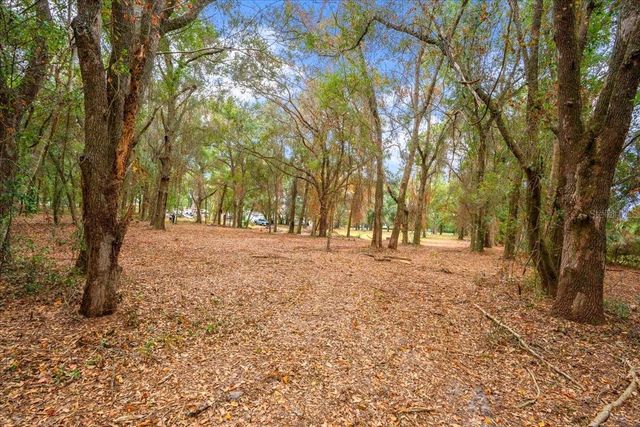 SE HWY 42, Summerfield, FL 34491