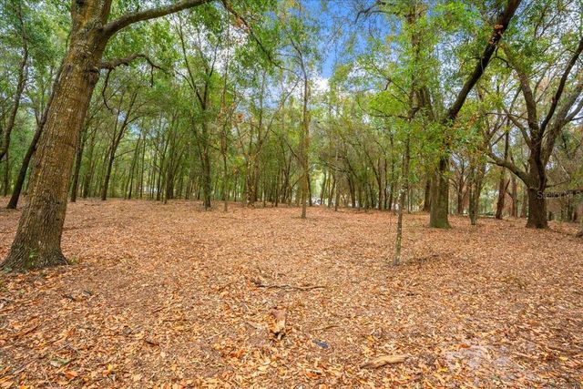 SE HWY 42, Summerfield, FL 34491