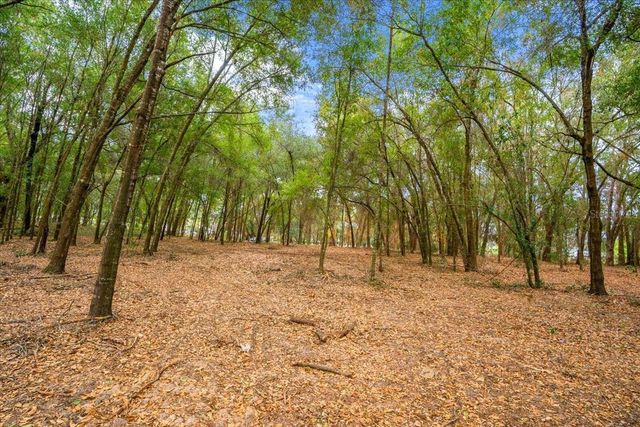 SE HWY 42, Summerfield, FL 34491