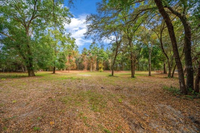 SE HWY 42, Summerfield, FL 34491