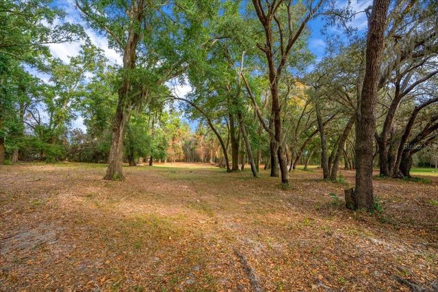 SE HWY 42, Summerfield, FL 34491