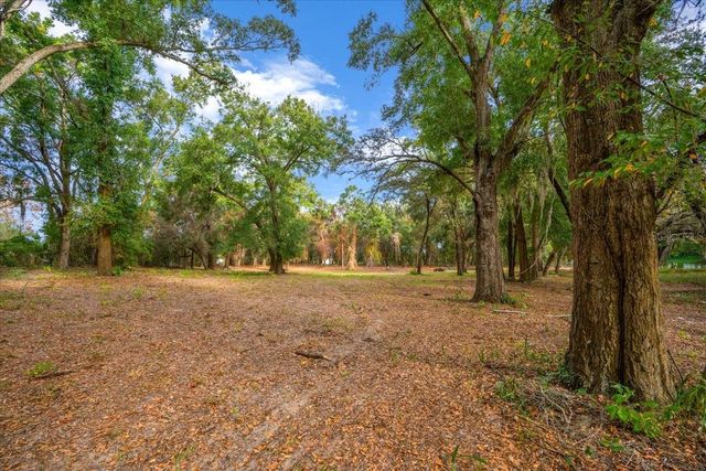 SE HWY 42, Summerfield, FL 34491