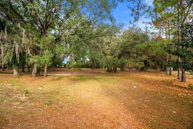 SE HWY 42, Summerfield, FL 34491