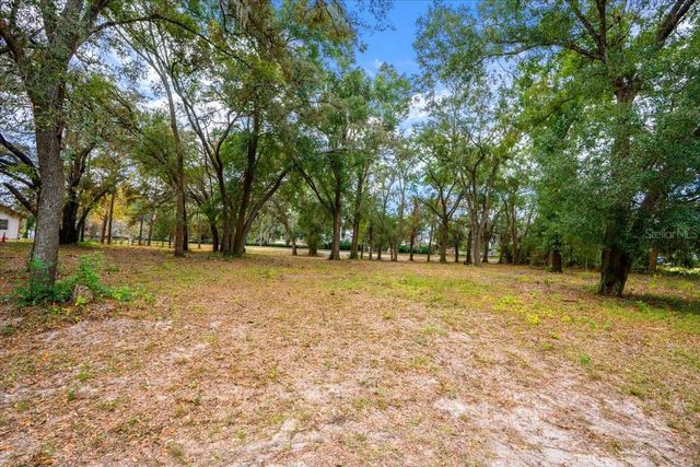 SE HWY 42, Summerfield, FL 34491