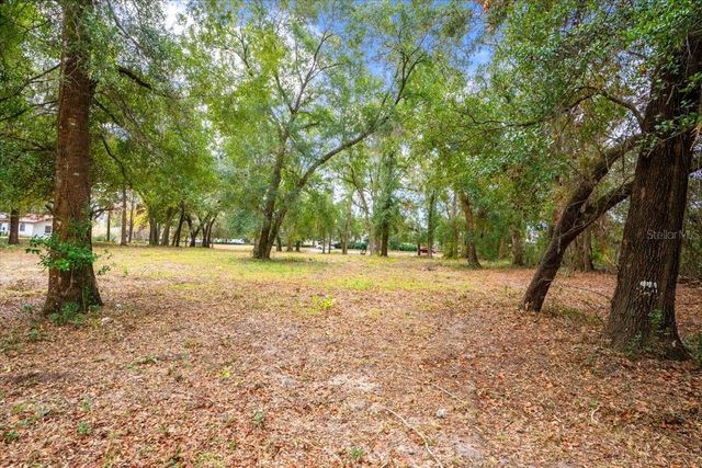 SE HWY 42, Summerfield, FL 34491