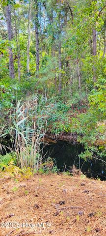 4306 Stillwater Cove SE, Boiling Spring Lakes, NC 28461