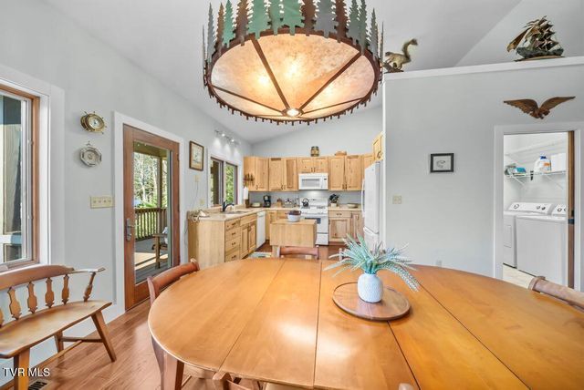 342 Ripshin Lake Road, Roan Mountain, TN 37687