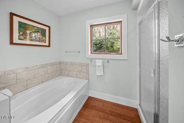 342 Ripshin Lake Road, Roan Mountain, TN 37687