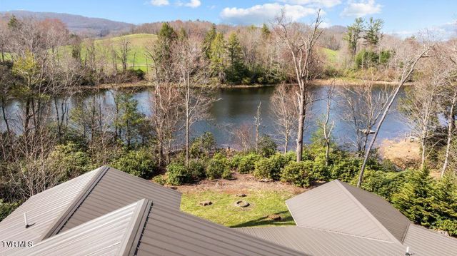 342 Ripshin Lake Road, Roan Mountain, TN 37687
