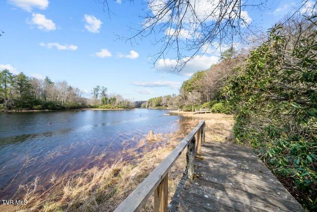 342 Ripshin Lake Road, Roan Mountain, TN 37687