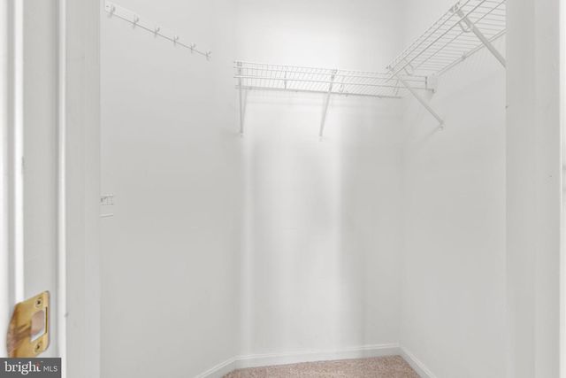 3810 TOWNSLEY ST, Fredericksburg, VA 22408