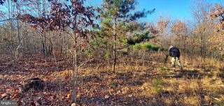 LOT 17 JERMIKEY CT, Hedgesville, WV 25427